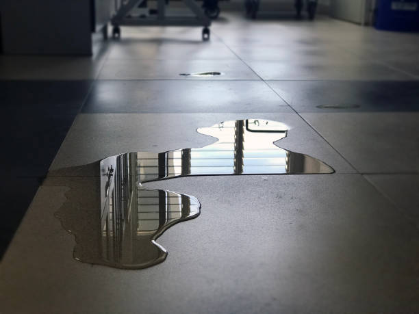 Best Commercial water damage restoration  in North Windham, ME