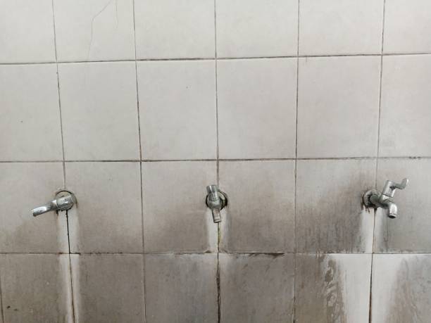 Best Flood restoration services  in North Windham, ME